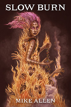 SLOW BURN cover